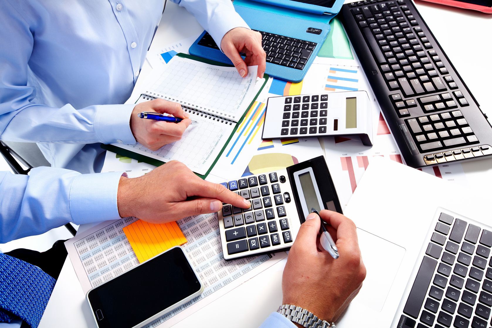 Yedisu Pire İlaçlama